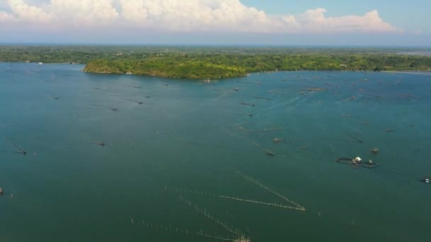 Ovanifrån Farm Att Odla Fisk Havet Burar Fiskodling Filippinerna — Stockvideo