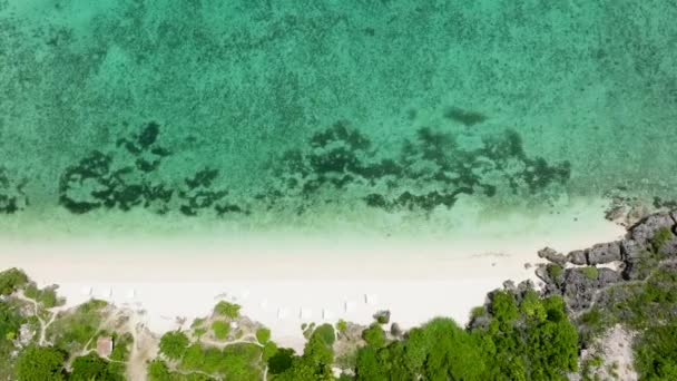 Vista Aérea Bela Praia Areia Com Palmeiras Mar Calmo Ilha — Vídeo de Stock