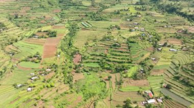 Terraces with farmland on the slopes of the hills in the highlands. Negros, Philippines