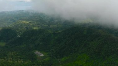 Yeşil orman ve bulutlu dağlar ve tepeler. Zenciler, Filipinler