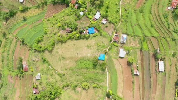 高原地区的梯田空中无人侦察机 山坡上有农田 Negros 菲律宾 — 图库视频影像