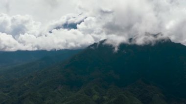 Ormanla kaplı dağ tepelerinin havadan görünüşü. Kinabalu Dağı. Borneo, Sabah, Malezya.