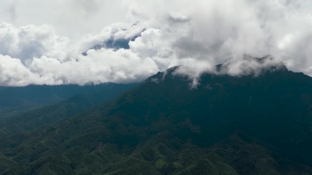 Luftaufnahme Von Berggipfeln Die Mit Wald Bedeckt Sind Mount Kinabalu — Stockvideo