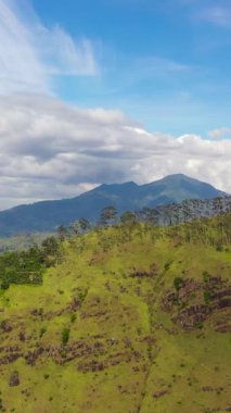 Mountain peaks covered with forest from above. Sri Lanka.