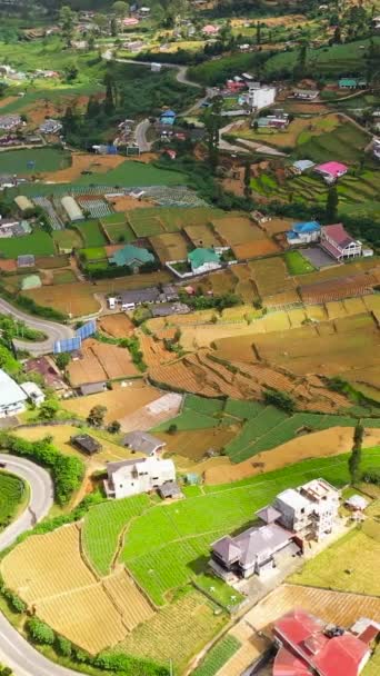 Village Mountains Agricultural Lands Tea Plantations Nuwara Eliya Sri Lanka — Vídeo de stock