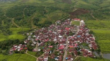 Sumatra 'daki çay evi manzarasının en üst görüntüsü. Yeşil çay tarlaları olan bir manzara. Kayu Aro, Endonezya.