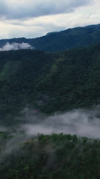 夕方に熱帯雨林と霧で斜面を登る — ストック動画