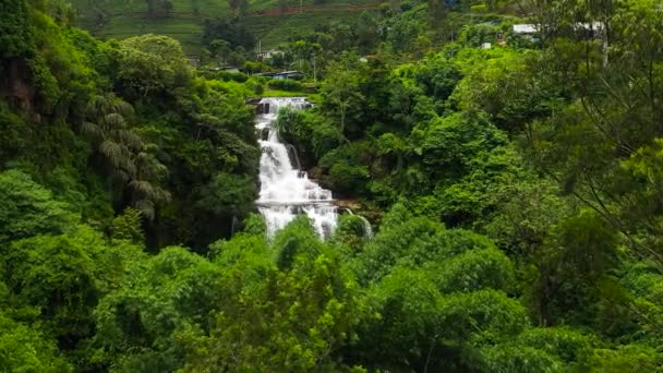 Aerial Drone Waterfall Tea Plantations Mount Vernon Waterfall Sri Lanka — Video