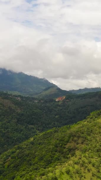 熱帯雨林や雲と山の空中ビュー スリランカ — ストック動画