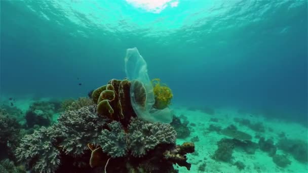 Bolsas Basura Plástico Descartadas Flotan Arrecife Coral Tropical Que Presenta — Vídeos de Stock
