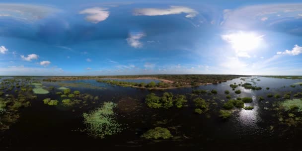 Rezervujte Jezerem Ptáky Národní Park Kumana Srí Lanka 360 — Stock video