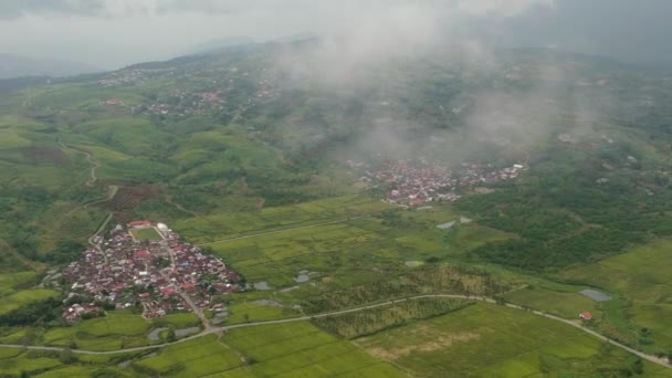 云中的茶园尽收眼底 茶园景观 Kayu Aro 印度尼西亚苏门答腊 — 图库视频影像