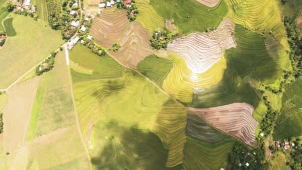 高原地区山坡上有农田的梯田的空中景观 Negros 菲律宾 — 图库视频影像