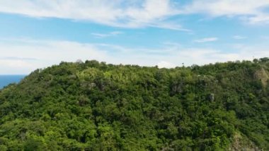 Tropikal ada ve mavi denizde tropikal ormanları olan dağlar. Apo Adası. Zenciler, Filipinler.
