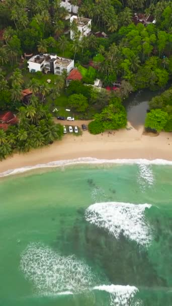Hiriketiya Plajı Denizdeki Sörfçüler Sri Lanka Ünlü Bir Sörf Merkezi — Stok video
