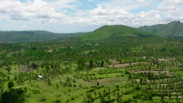 Montañas Con Bosques Verdes Tierras Agrícolas Con Plantaciones Agrícolas Isla — Vídeo de stock
