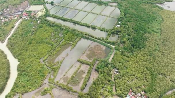 农村农田和稻田之间的村舍 Negros 菲律宾 — 图库视频影像