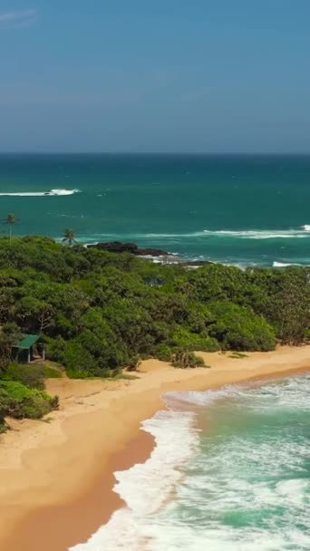 Aerial View Sandy Beach Palm Trees Ocean Surf Waves Sri — Vídeo de stock