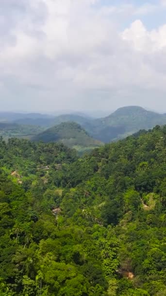 Вид Сверху Горные Склоны Покрытые Долинами Джунглями Шри Ланка Вид — стоковое видео