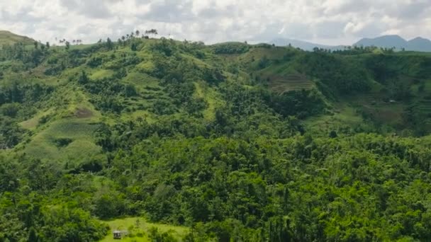 熱帯雨林や農地を持つ山 フィリピンのネグロス — ストック動画