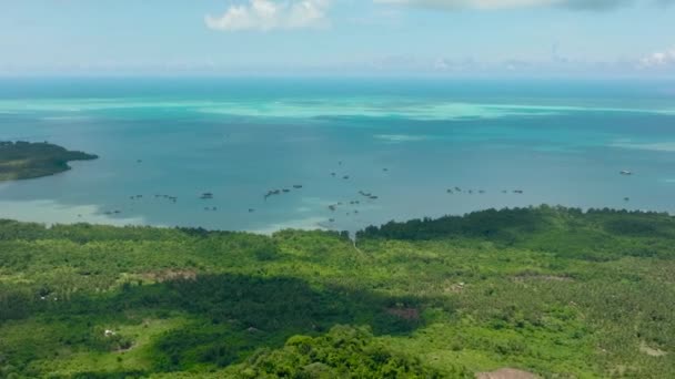 Вид Воздуха Остров Джунглями Синим Морем Морской Пейзаж Тропиках Балабак — стоковое видео
