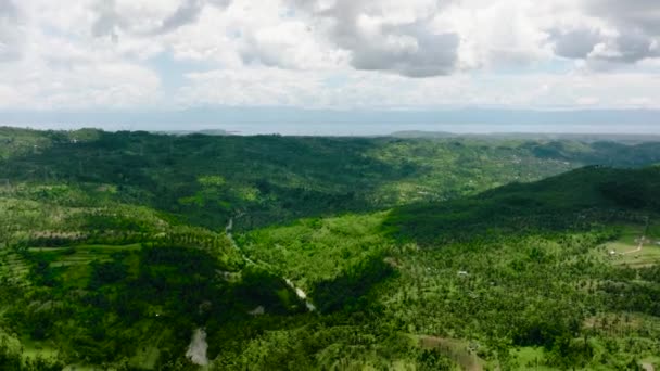 Vista Aérea Tierras Agrícolas Montañas Con Bosque Verde Isla Cebú — Vídeo de stock