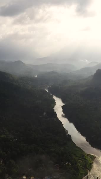 ジャングルや熱帯雨林の間の川は早朝に日光に照らされています スリランカ — ストック動画