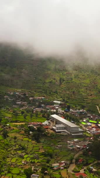 Town Tea Plantations Mountains Tea Estate Clouds Sri Lanka — Video Stock