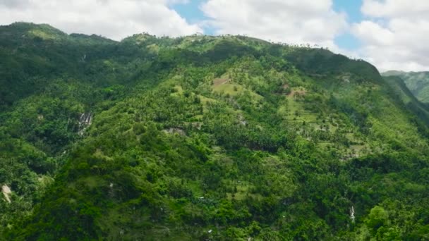 Pendientes Montaña Cubiertas Selva Selva Vista Del Valle Provincia Montaña — Vídeo de stock