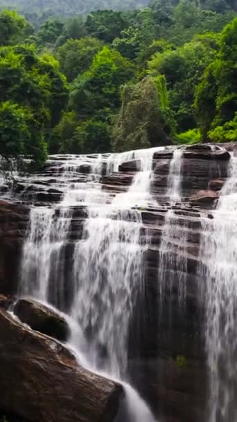 Cascada Selva Olu Ella Cae Selva Tropical Sri Lanka — Vídeo de stock