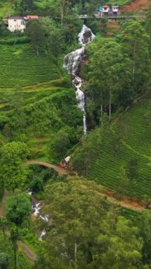 Dağlardaki şelale manzarası ve çay evi. Çay tarlası manzarası. Sri Lanka.