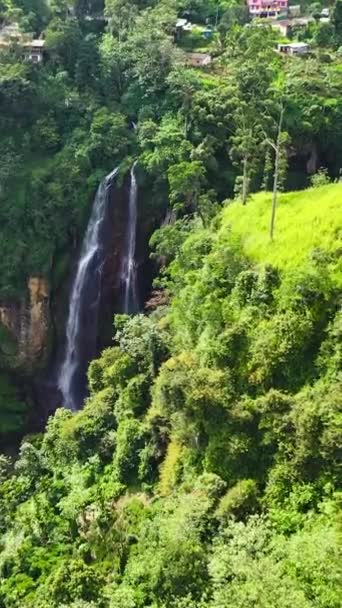 농장과 사이의 스리랑카 — 비디오