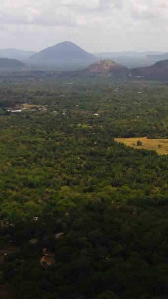 Сельскохозяйственные Земли Сельской Местности Среди Тропических Лесов Джунглей Шри Ланка — стоковое видео