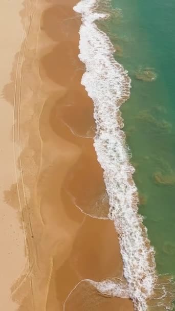 Seascape Tropical Sandy Beach Blue Ocean Kalkudah Beach Sri Lanka — Vídeo de Stock