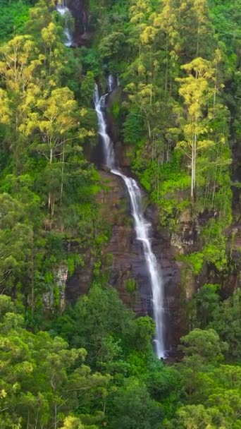 Wodospad Dżungli Tropikalnym Lesie Otoczonym Zieloną Roślinnością Ramboda Sri Lanka — Wideo stockowe