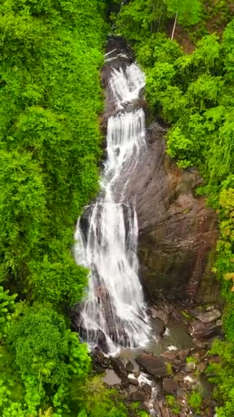 上からの熱帯雨林の眺めの美しい滝 スリランカのカダフォールズ バーティカルビデオ — ストック動画