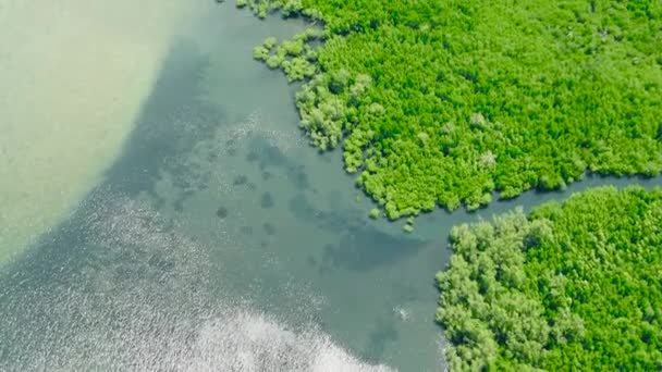 Mangrowe Niebieska Laguna Tropikalnej Wyspie Przylądek Morski Tropikach Balabac Palawan — Wideo stockowe