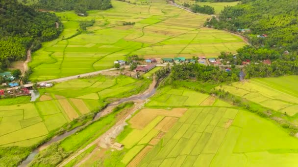 Vale Com Campos Agrícolas Rio Entre Montanhas Nas Filipinas — Vídeo de Stock