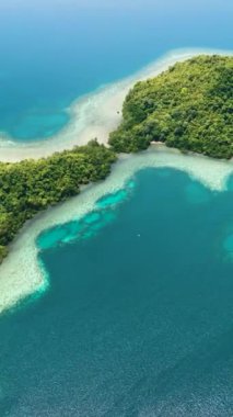 Tropikal adanın ve turkuaz suyla mercan adasının hava aracı. Tropik bölgelerde deniz manzarası. Borneo, Sabah, Malezya. Dikey video.