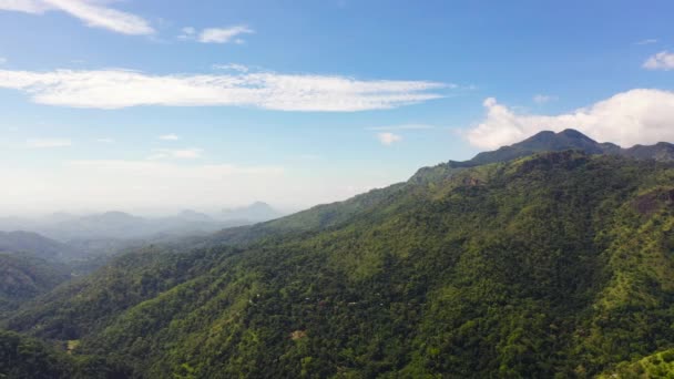 Flygdrönare Djungel Och Berg Sri Lanka Bergsluttningar Med Tropisk Vegetation — Stockvideo