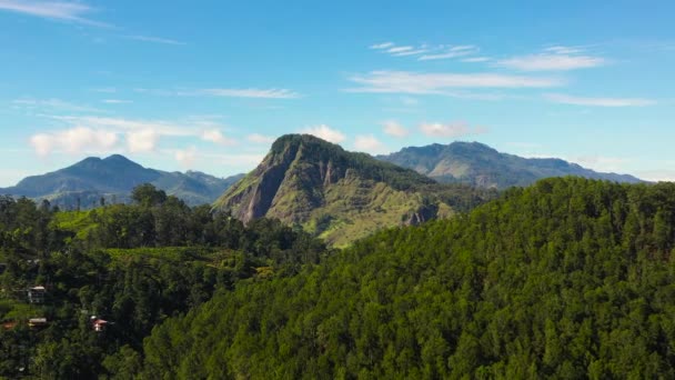 Montanhas Cobertas Floresta Vegetação Tropical Contra Fundo Céu Azul Nuvens — Vídeo de Stock