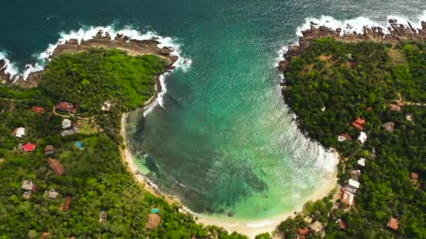 Een Tropisch Strand Met Palmbomen Een Blauwe Oceaan Hiriketiya Sri — Stockvideo