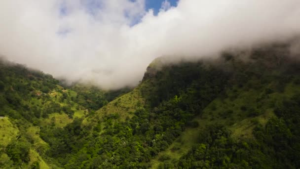 Βουνά Κάλυπταν Τροπικά Δάση Δέντρα Και Γαλάζιο Ουρανό Σύννεφα Σρι — Αρχείο Βίντεο