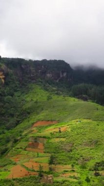 Yağmur ormanları olan dağ yamaçları ve tarım arazileri olan bir dağ vadisi. Sri Lanka. Ramboda, Sri Lanka. Dikey video.