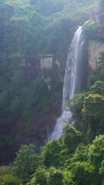 丛林里的瀑布斯里兰卡 兰博达瀑布在热带雨林里垂直录像 — 图库视频影像