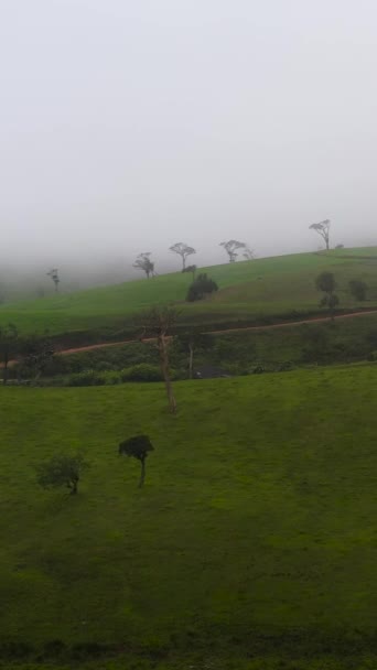 田舎の丘の間の緑の牧草地や牧草地 スリランカ — ストック動画