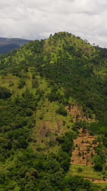 Widok Góry Tropikalny Krajobraz Górami Dżunglą Sri Lance Pionowe Wideo — Wideo stockowe