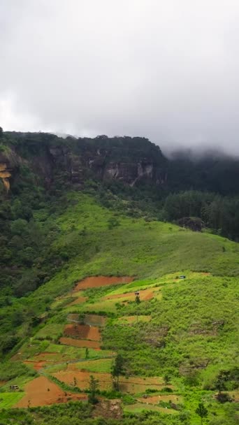 Stoki Górskie Lasem Deszczowym Górska Dolina Ziemią Uprawną Sri Lanka — Wideo stockowe