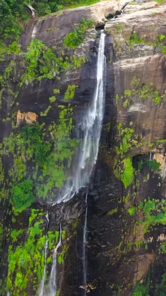 热带雨林中美丽的瀑布 Diyaluma瀑布在热带山区丛林中 垂直录像 — 图库视频影像