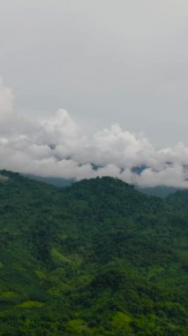 Dağlı ve ormanlı tropikal manzaranın havadan görünüşü. Borneo, Sabah, Malezya. Dikey video.